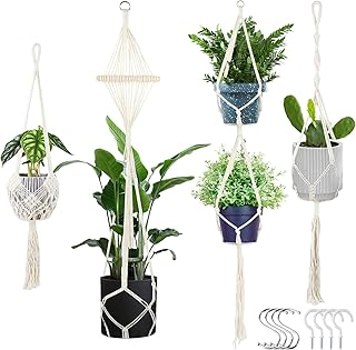 Trendbild zu Minimalistische Pflanzenampeln